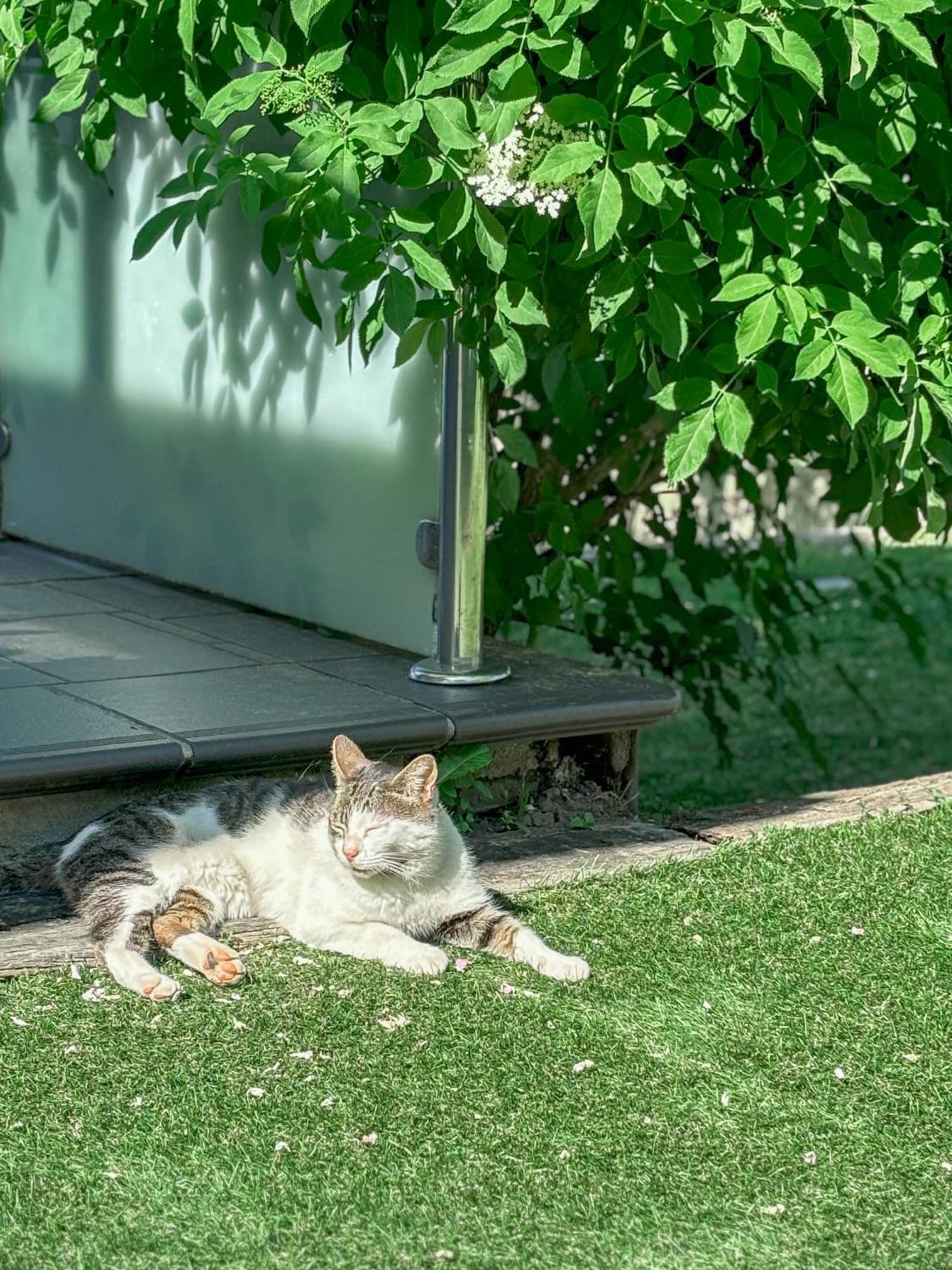 Villa Suances Tagle エクステリア 写真